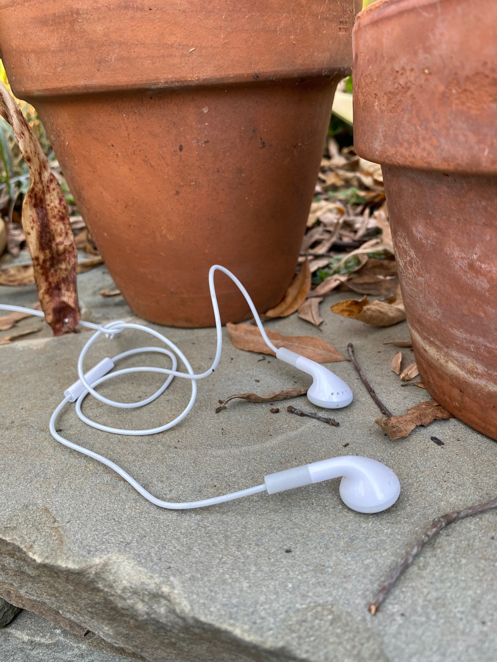 Looking for Gardening Podcasts